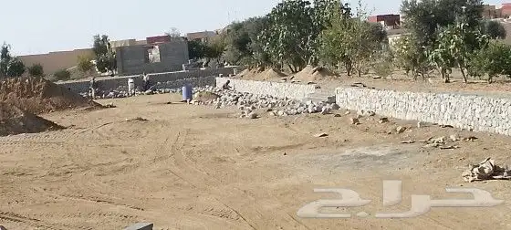 شيول وباكلين لقص الأراضي والبنيان. النماص تنومه بلسمر 8