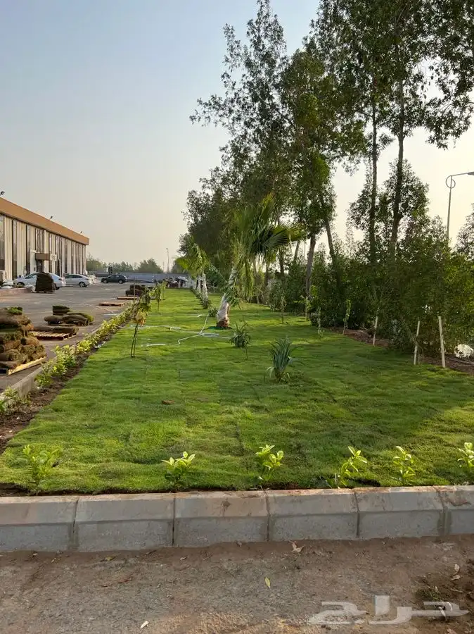 نجيله اشجار احواض   كل مايلزم الزراعه 14