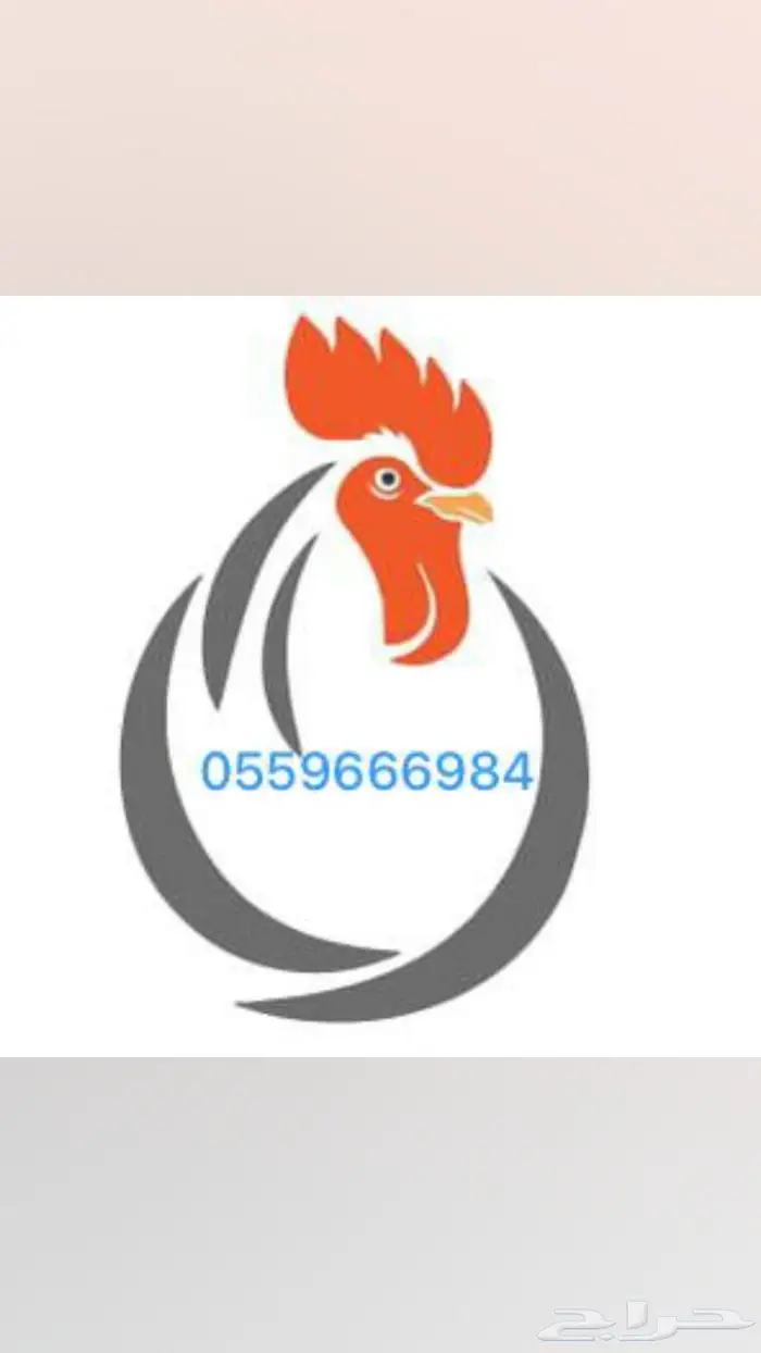 مقاول حظائر دواجن 0