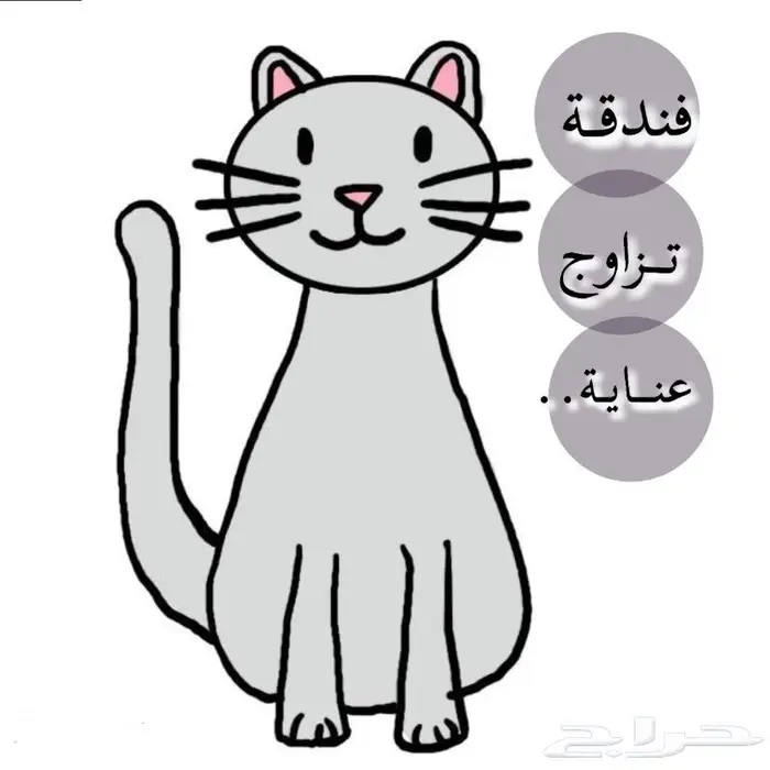 عناية قطط وتزاوج 0