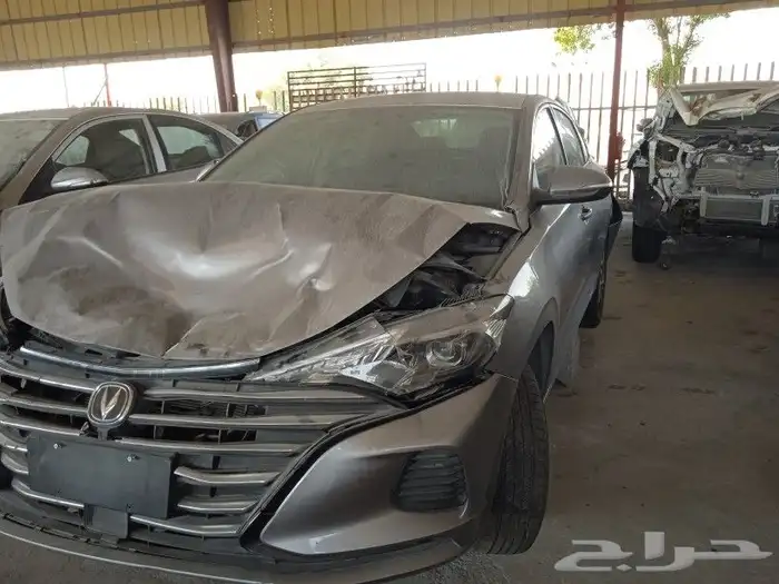 جميع انواع شجان تشليح الفوزان مدخل3 8