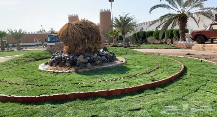 نجيله اشجار احواض   كل مايلزم الزراعه 75