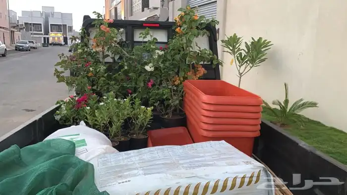 نجيله اشجار احواض   كل مايلزم الزراعه 57