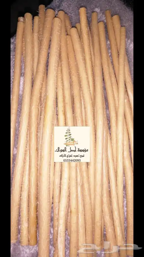 مسواك ابو حنش الحار يصلك اينما كنت 5