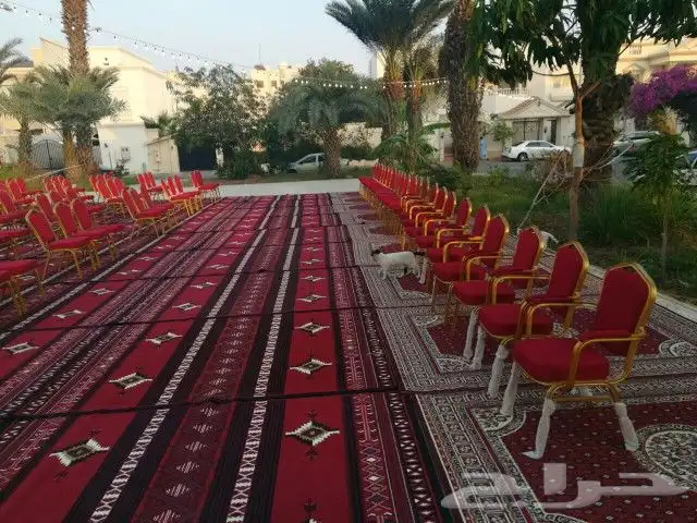 كراسي بجميع اشالكها.مراسم حفلات مراسم مهرجان مراسم عزاء. 22