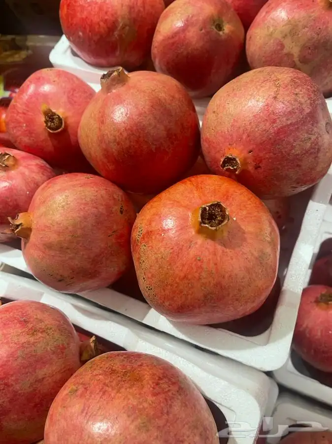 فواكه وخضار محلي ومستورد 1