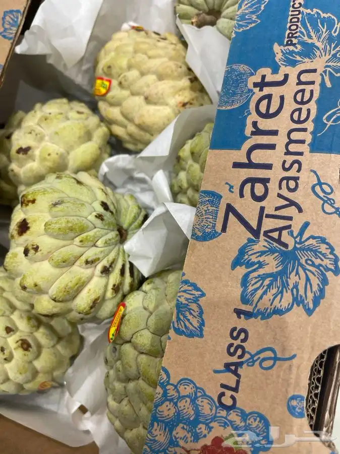 فواكه وخضار محلي ومستورد 8