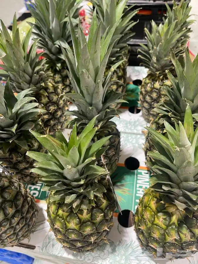 فواكه وخضار محلي ومستورد 6