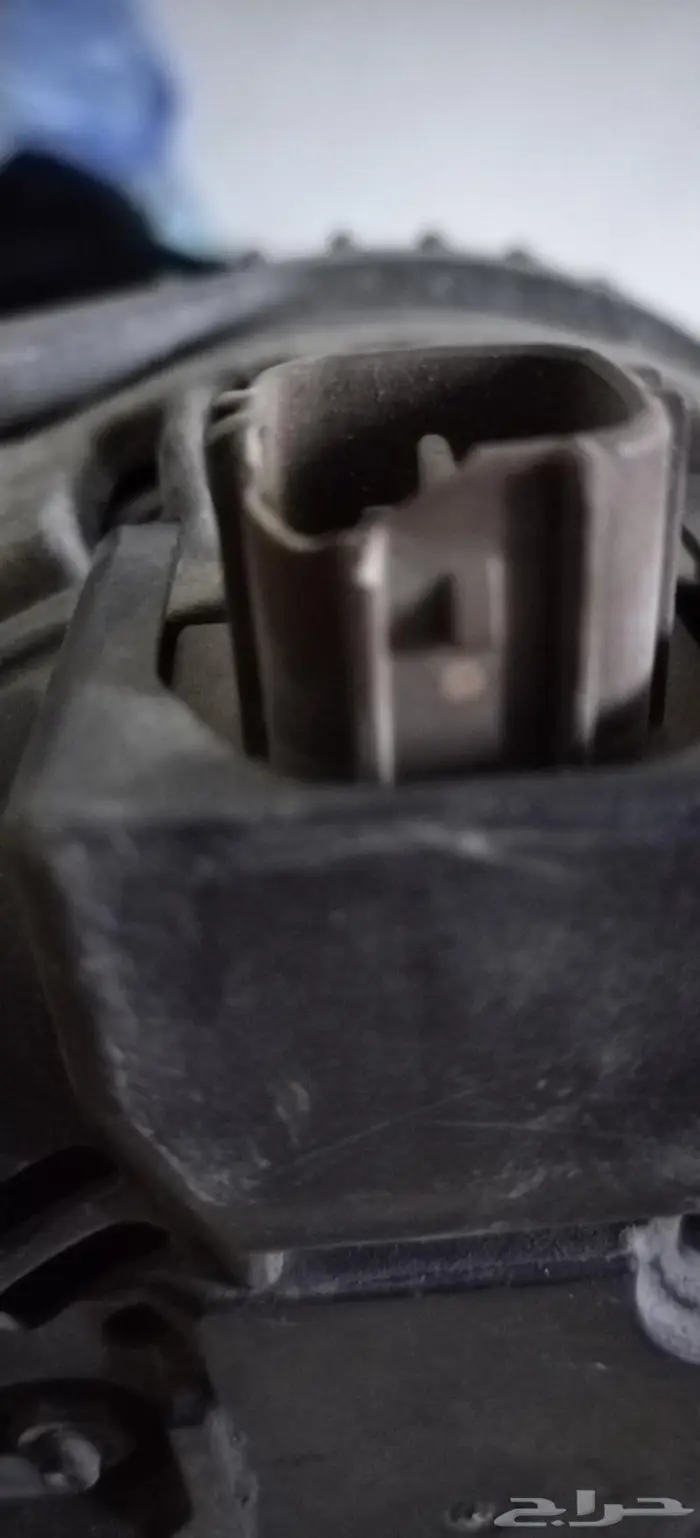 دينما جارج كامري 2016 و 2017 1