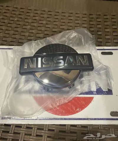 علامه شبك ددسن 2