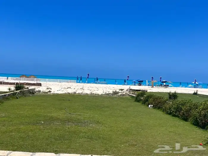 جميع الخدمات السياحية في مصر تحت ادارة سعودية 2