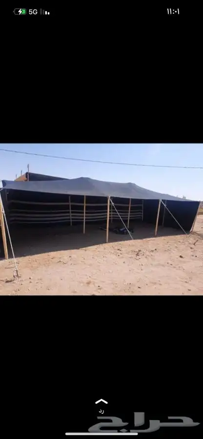 بيوت شعر المدينه المنوره 2