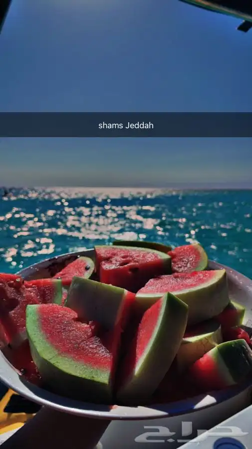 احجز رحلاتك البحرية الان 40