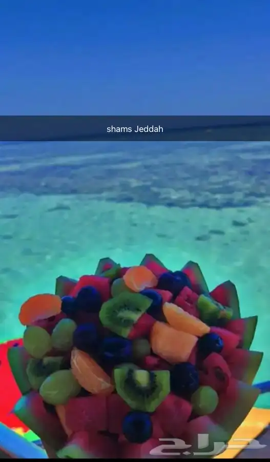 احجز رحلاتك البحرية الان 10