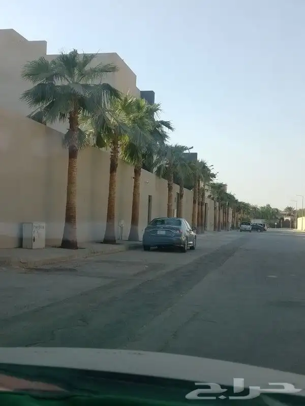 زراعه نخيل واشنطن وعربي وتنسيق الحدائق 3