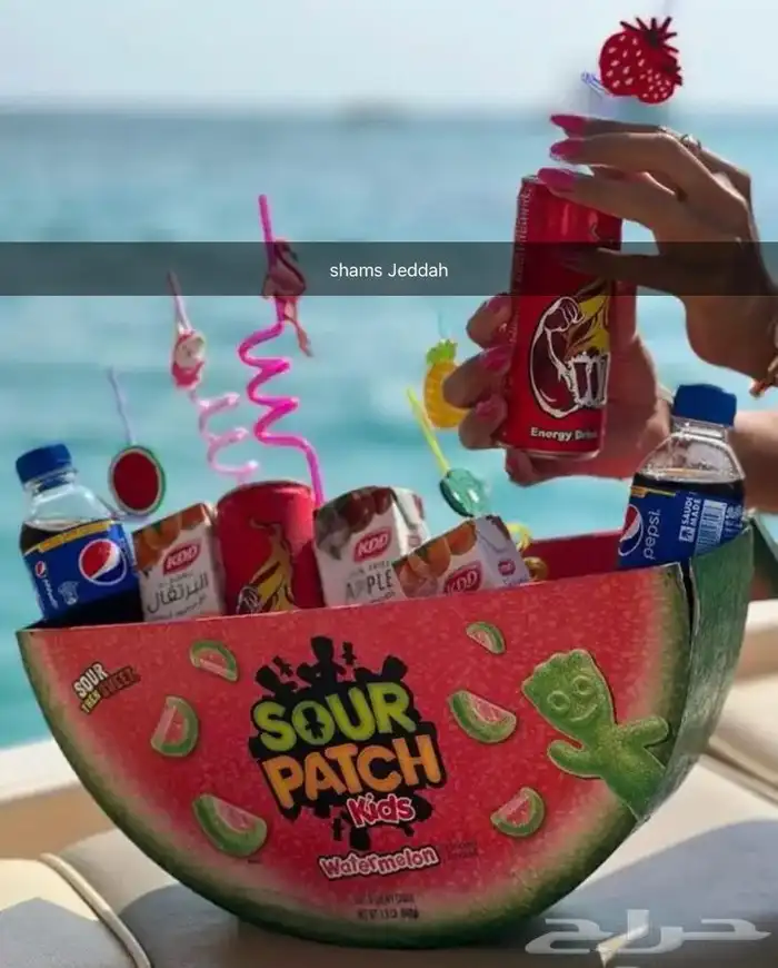 احجز رحلاتك البحرية الان 31