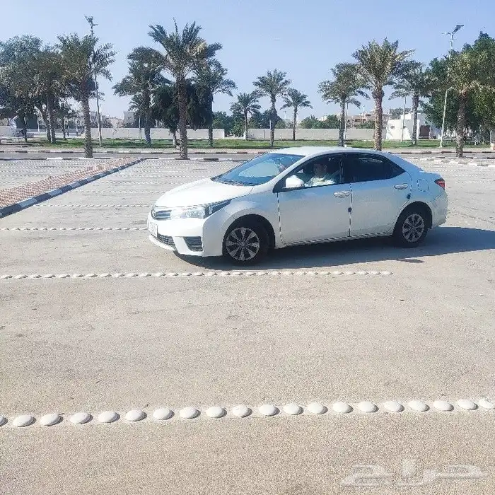 تدريب وتعليم السواقه من أي مستوي إنت في مع حجز موعد للرخصة 0