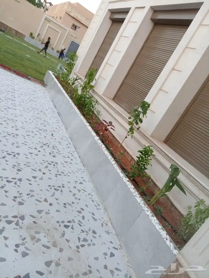 نجيله طبيعيه 12
