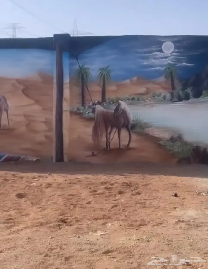 مربط واسطبل ايواء خيول فرس حصان ايجار غرف تدريب ركوب الخيل 2