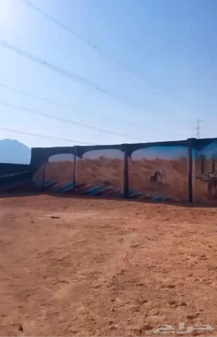 مربط واسطبل ايواء خيول فرس حصان ايجار غرف تدريب ركوب الخيل 0