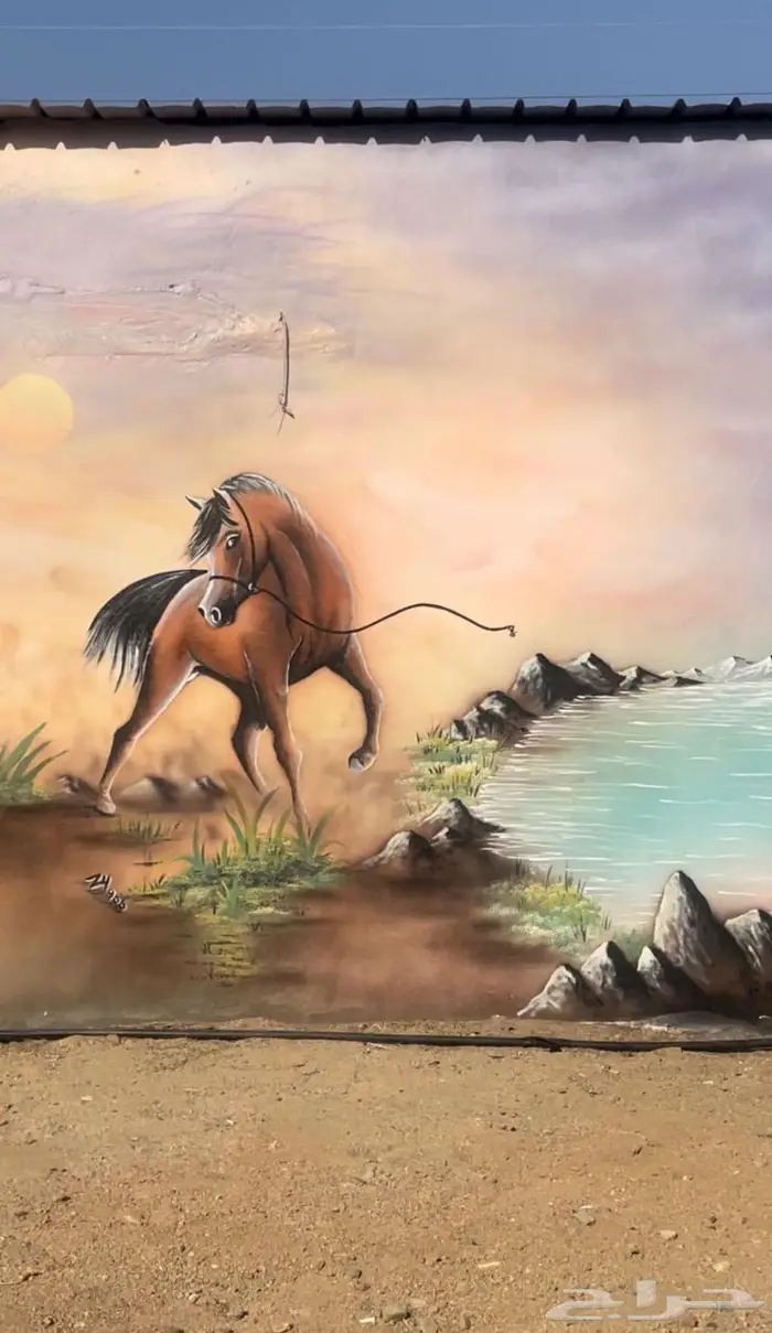 مربط واسطبل ايواء خيول فرس حصان ايجار غرف تدريب ركوب الخيل 5