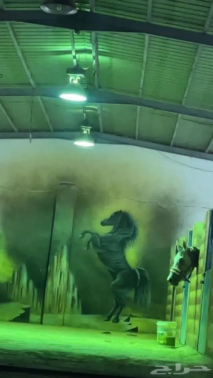 مربط واسطبل ايواء خيول فرس حصان ايجار غرف تدريب ركوب الخيل 4