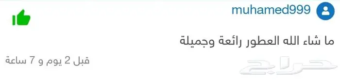 بديل عطر ليبر LIBRE 6