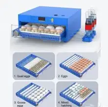 فقاسات رول المطورة مقاس 64من مؤسسة فنون الدواجن 1