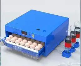 فقاسات رول المطورة مقاس 64من مؤسسة فنون الدواجن 0