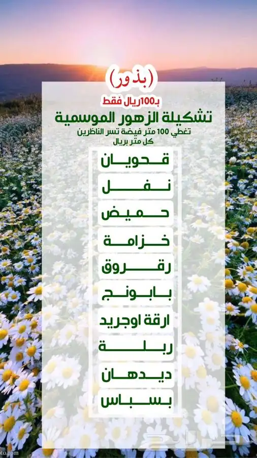 تشكيلة الزهور الموسمية في 11 صنف 100 ريال 1