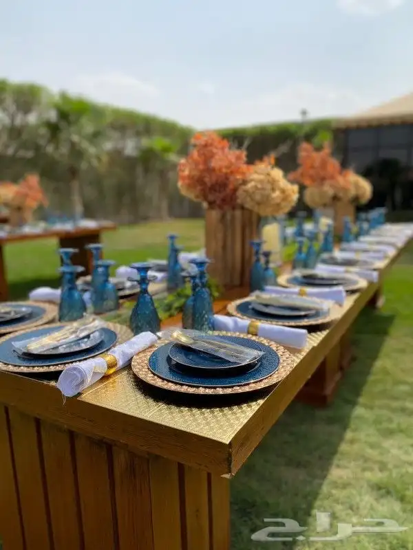 تأجير كراسي طعام 8