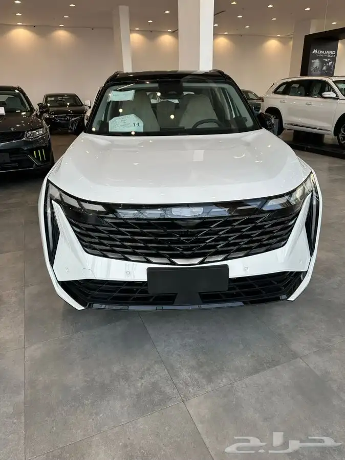 جيلي ستار راي 2024 جميع الفئات 6