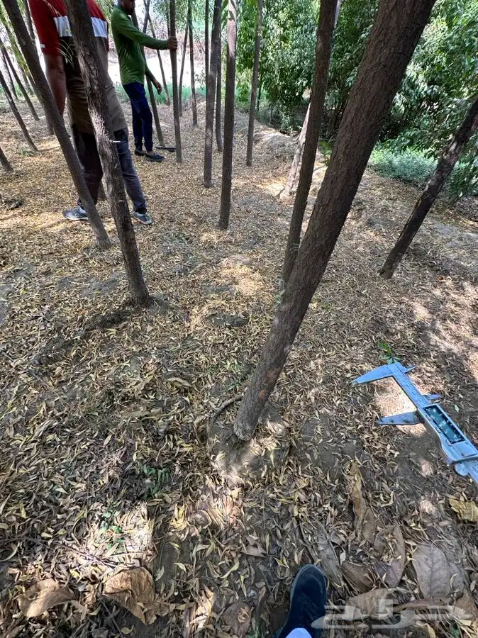 مشتل بجدة بيع بأقل الاسعار للكميات فقط 1