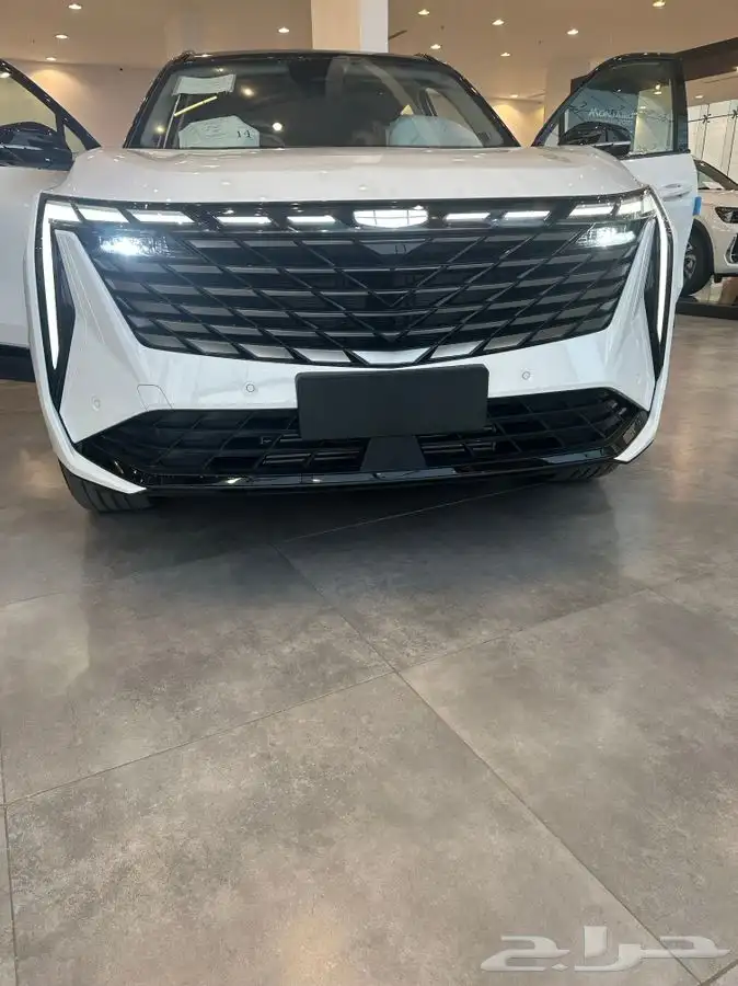 جيلي ستار راي 2024 جميع الفئات 0