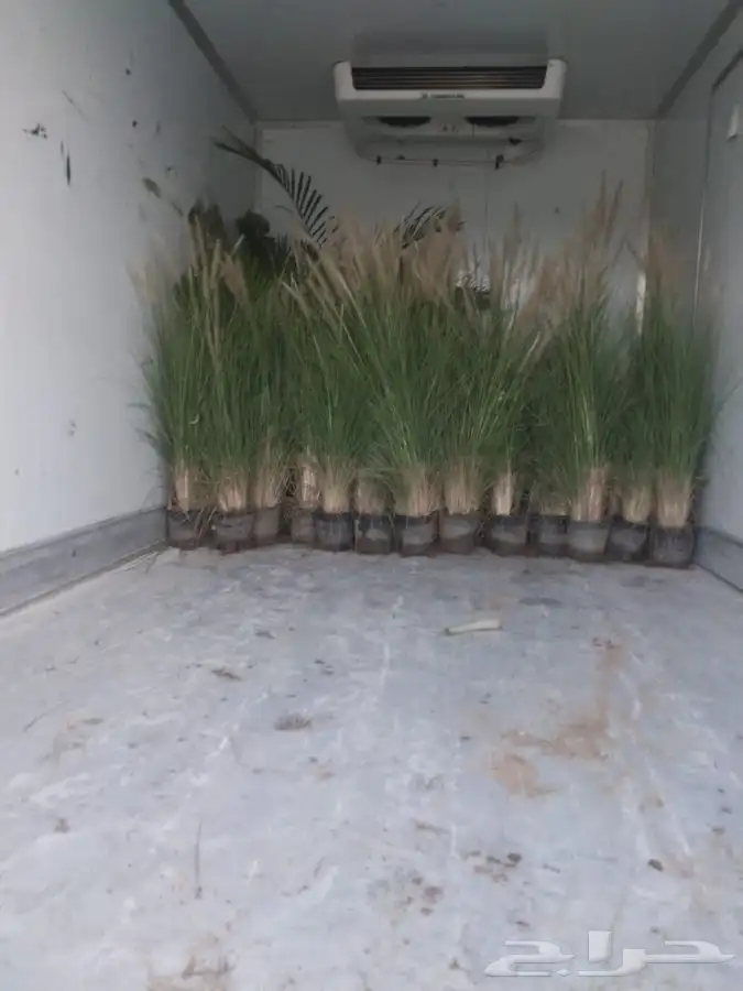 مشتل بجدة بيع بأقل الاسعار للكميات فقط 2