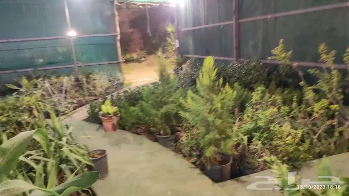 منسق حدائق مع الزراعه وشبكات الري 0