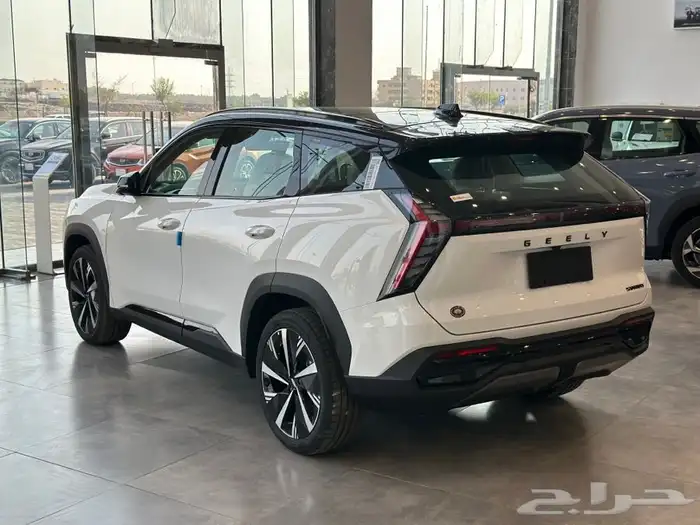 جيلي ستار راي 2024 جميع الفئات 7