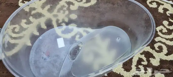 بوكس سلاحف 1