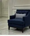 اصل الكنب الامريكى والكلاسيكى 5