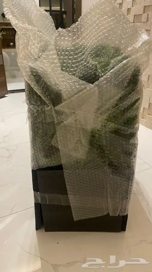 شجر طبيعي من محل وست الم مجفف 6