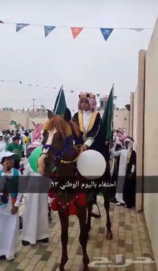 خيل سيسي بوني للاجار 2