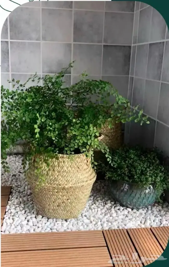 حجر ابيض واسود فاخر لزينة المنازل والحدائق 0