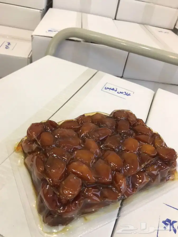 خلاص القصيم والخرج 16