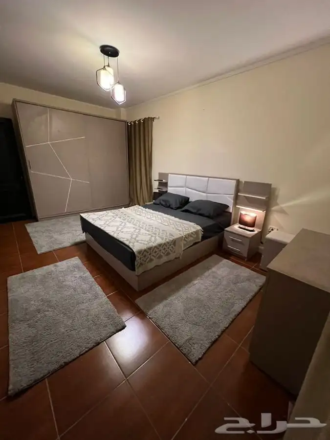 جميع الخدمات السياحة في مصر 16