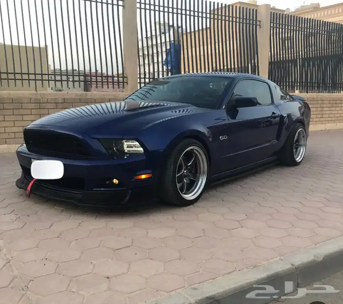 جنوط ويلد s71 1