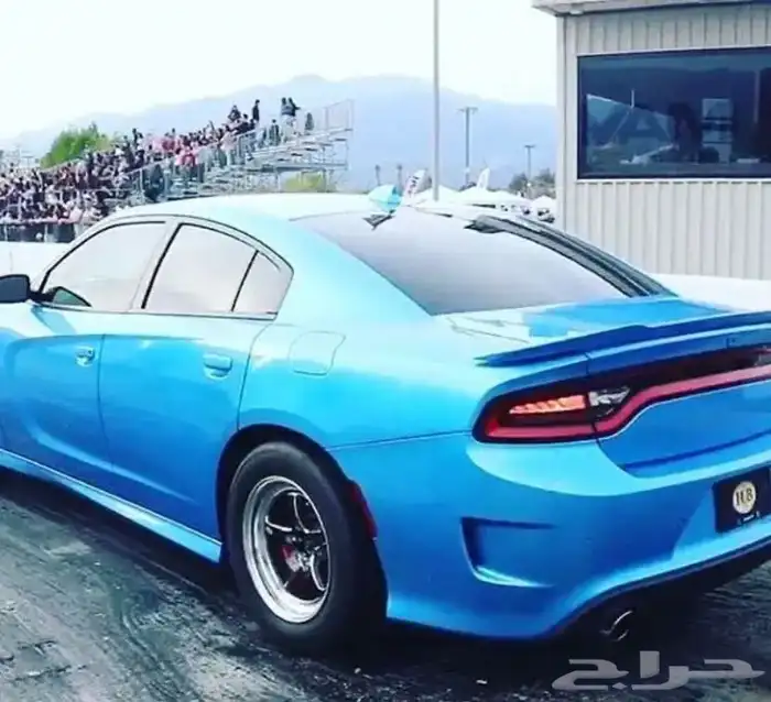 جنوط ويلد s71 3