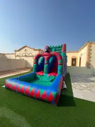 اجار ملعب صابوني زحاليق نطيطان 10