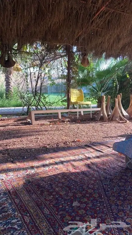 منتجع حلوه للإيجار اليومي بالقاعد 23