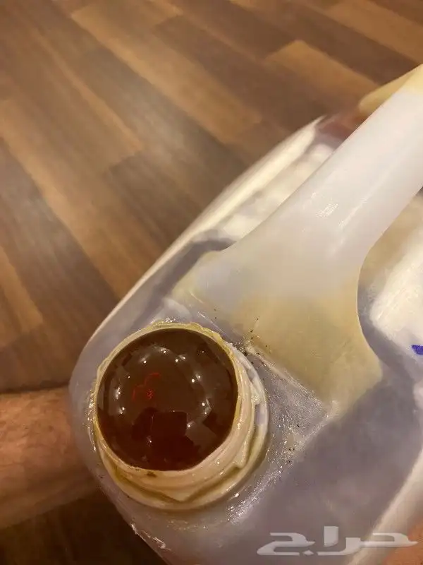 عسل سدر حضرمي درجة أولى بالكيلو والنص والربع 4