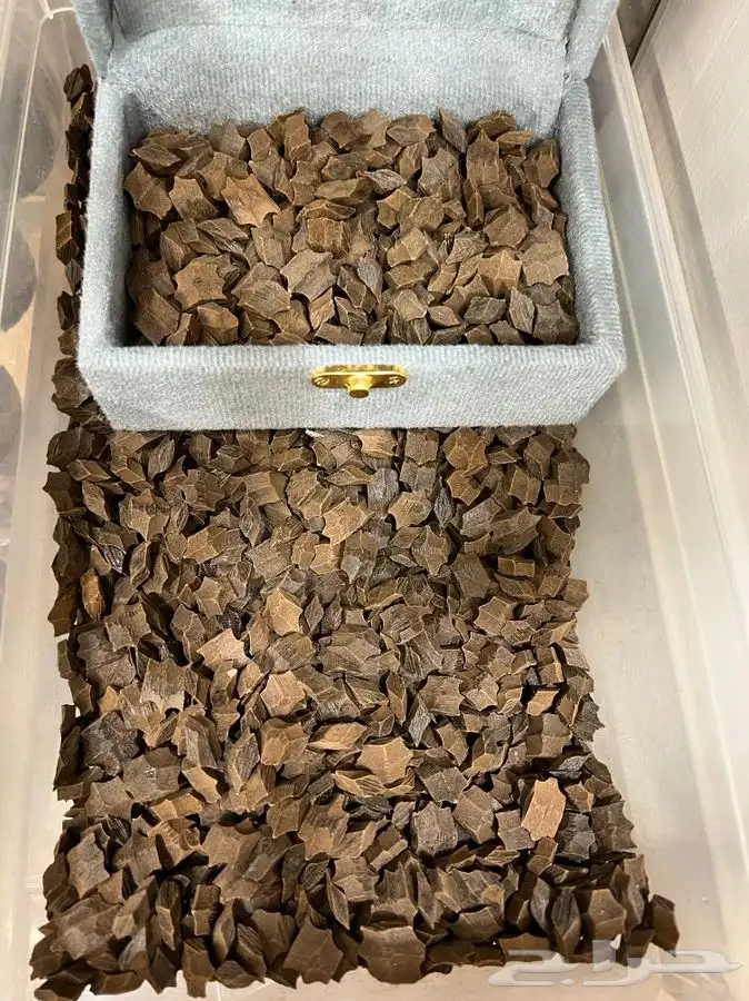 عود الفراشه ( عود البيت) 0